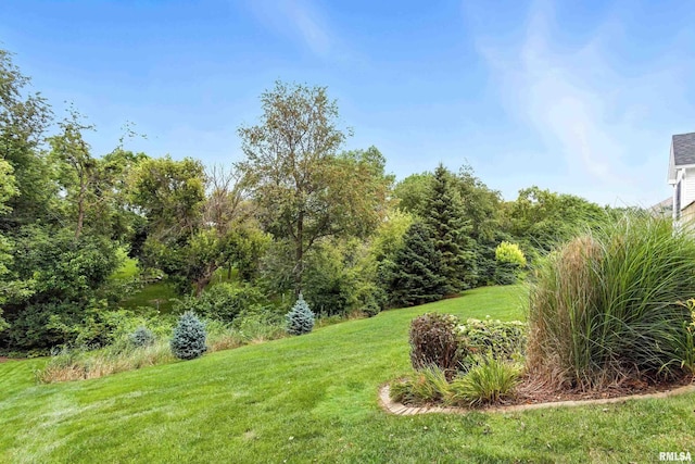 6581 Eagle Ridge Rd, Bettendorf, IA 52722 - photo 68