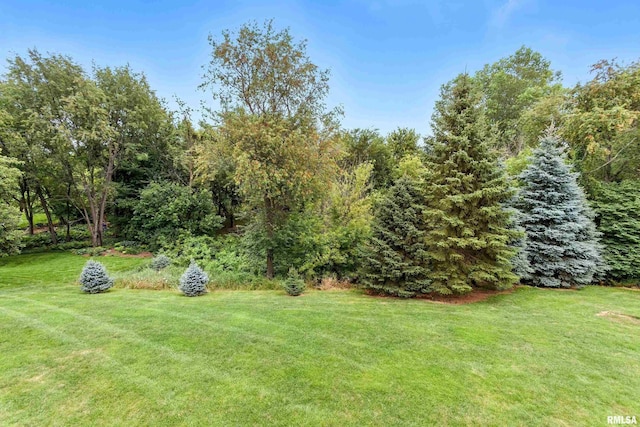 6581 Eagle Ridge Rd, Bettendorf, IA 52722 - photo 71