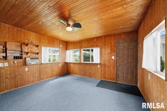 7302 Cedar St, Davenport, IA 52806 - photo 10