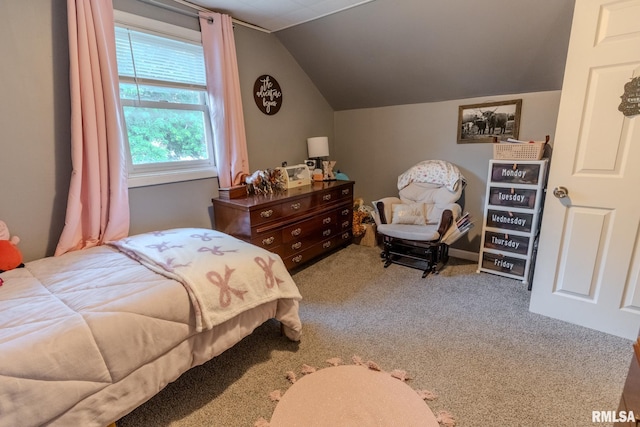 511 Locust St, Prophetstown, IL 61277 - photo 24