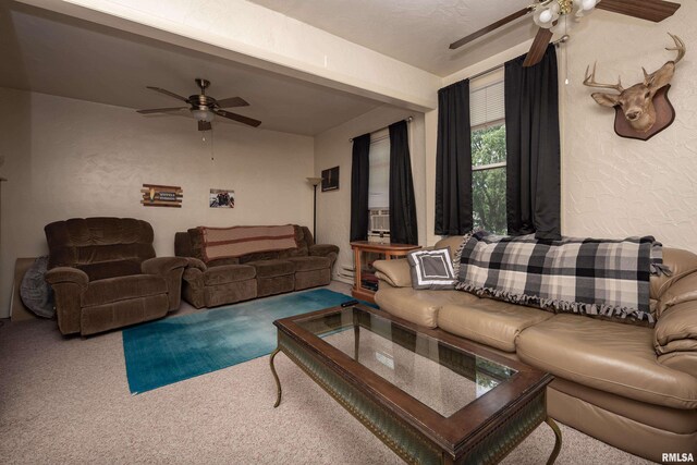 306 W 2nd St Unit 12, Annawan, IL 61234 - photo 57