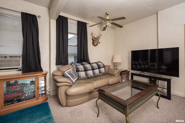 306 W 2nd St Unit 12, Annawan, IL 61234 - photo 58