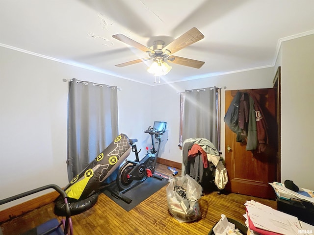 1837 42nd St, Rock Island, IL 61201 - photo 8