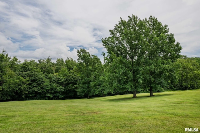 285 Sally Holler Rd, Harrisburg, IL 62946 - photo 38