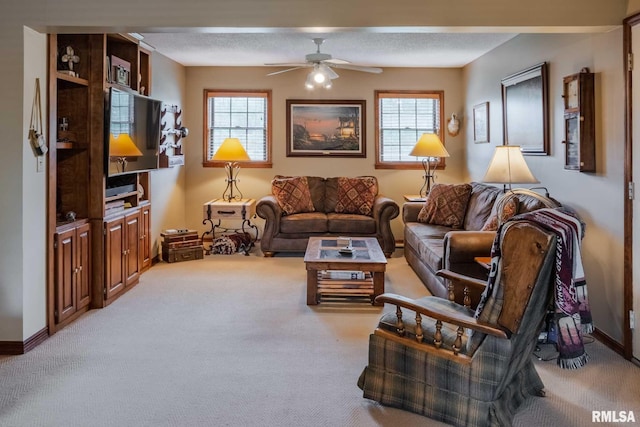 285 Sally Holler Rd, Harrisburg, IL 62946 - photo 5