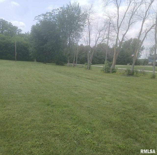 206 9th Ave N, Albany, IL 61230 - photo 4
