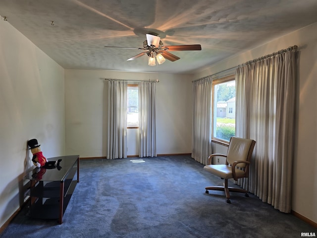 801 14th Ave, Fulton, IL 61252 - photo 5