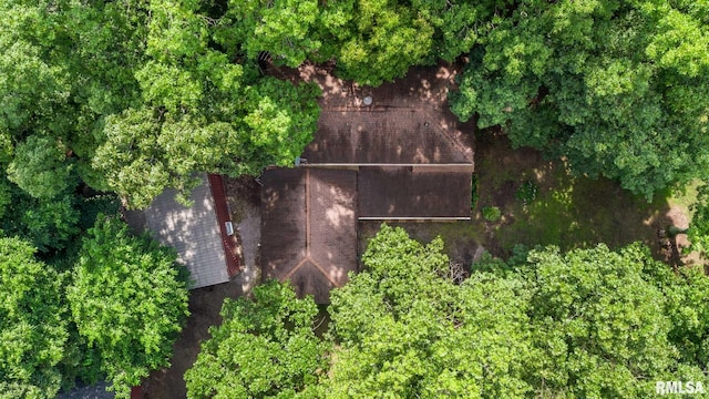 14802 Poor Farm Rd, Johnston City, IL 62951 - photo 40