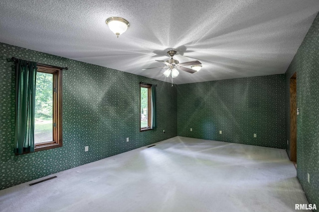14802 Poor Farm Rd, Johnston City, IL 62951 - photo 5