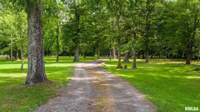 14802 Poor Farm Rd, Johnston City, IL 62951 - photo 46