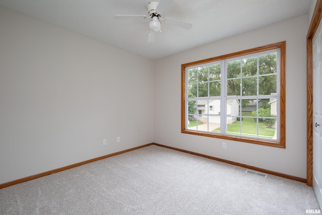 5804 Hillandale Rd, Davenport, IA 52806 - photo 27