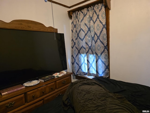 430 N Canal St, Cave In Rock, IL 62919 - photo 21