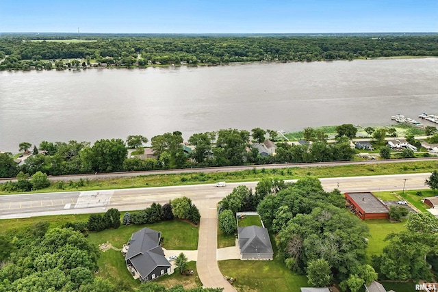 102 Hollows Ct, Le Claire, IA 52753 - photo 6