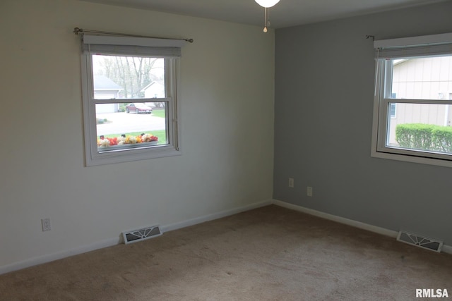 109 N 3rd St, Colona, IL 61241 - photo 20