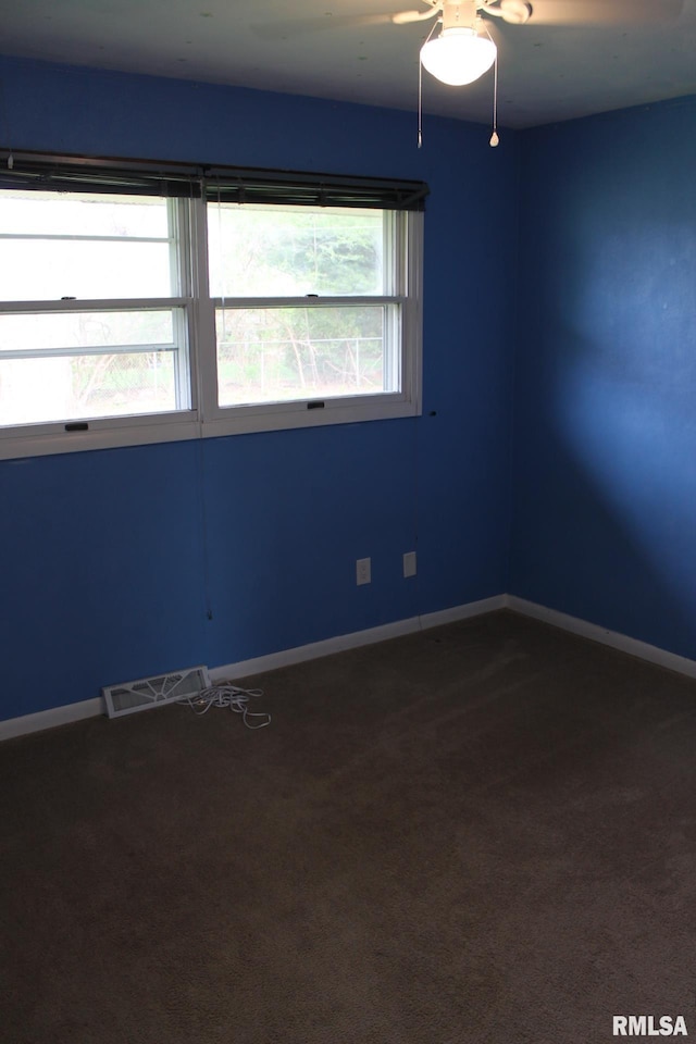 109 N 3rd St, Colona, IL 61241 - photo 24