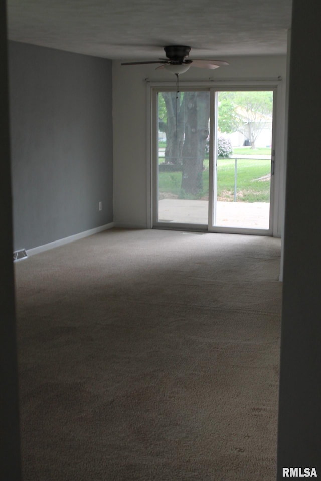 109 N 3rd St, Colona, IL 61241 - photo 33