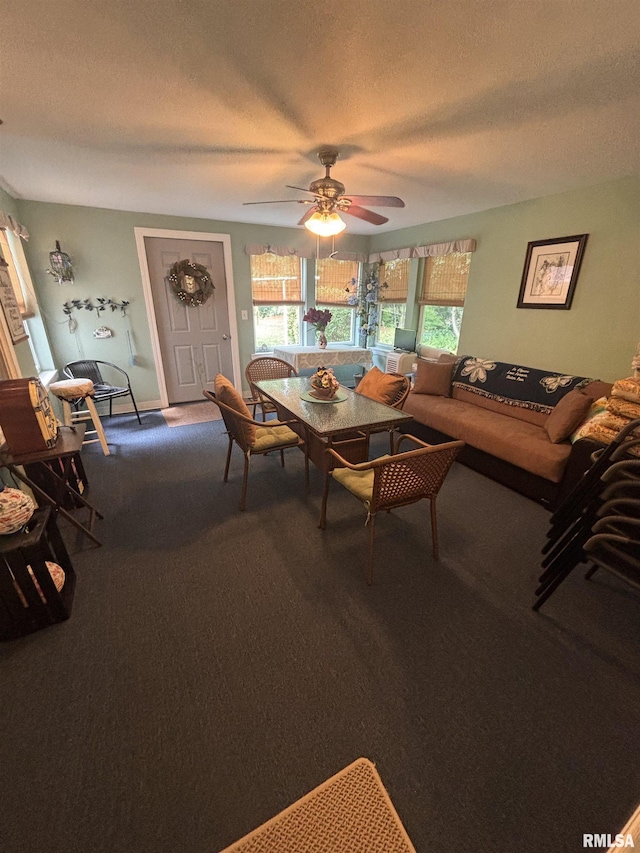 200 S Acorn St, Kewanee, IL 61443 - photo 42