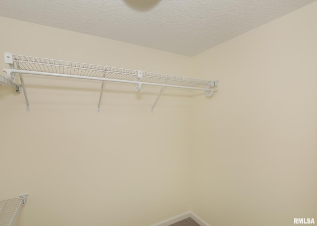 809 Hartz Ct, Le Claire, IA 52753 - photo 23