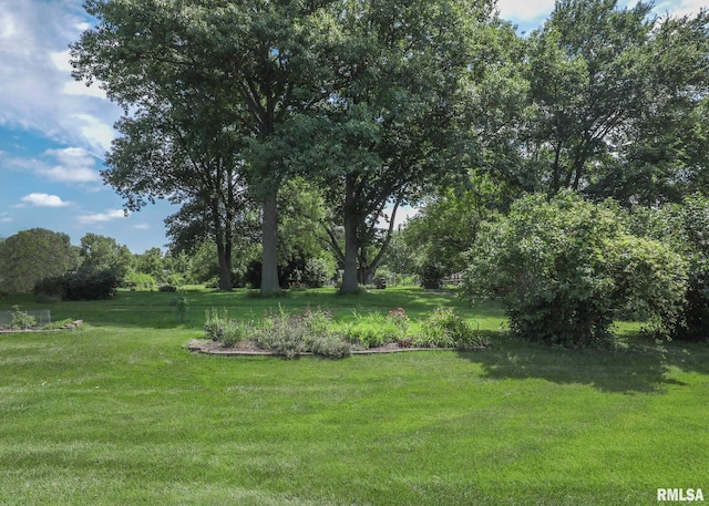 809 Hartz Ct, Le Claire, IA 52753 - photo 9