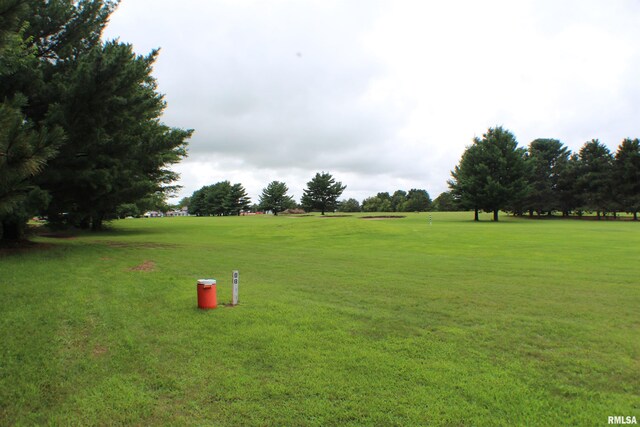 5076 Colony Ct, Thomson, IL 61285 - photo 25