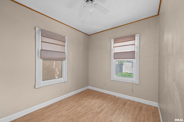 1912 31st St Unit A, Moline, IL 61265 - photo 11