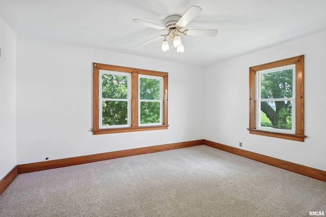 3792 110th St, Stockton, IA 52769 - photo 35