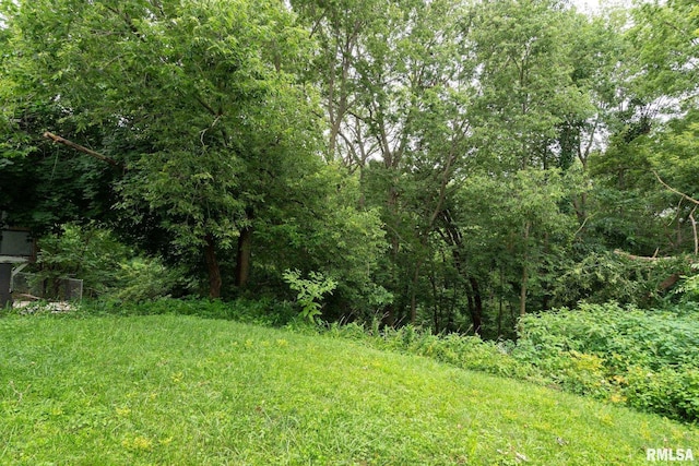 1819 W 15th St, Davenport, IA 52804 - photo 25