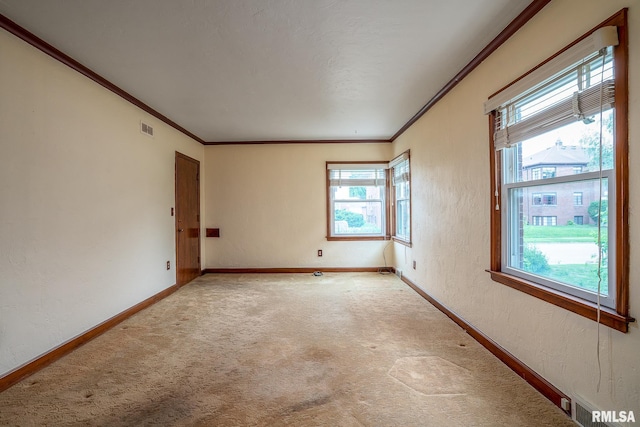 320 W Hayes St Unit 320 320-1/2 320-1/3, Davenport, IA 52803 - photo 9