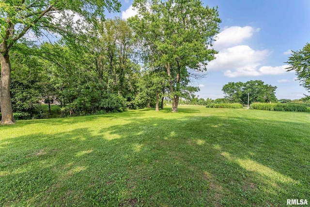 12500 Coonhunters Rd, Blue Grass, IA 52726 - photo 29