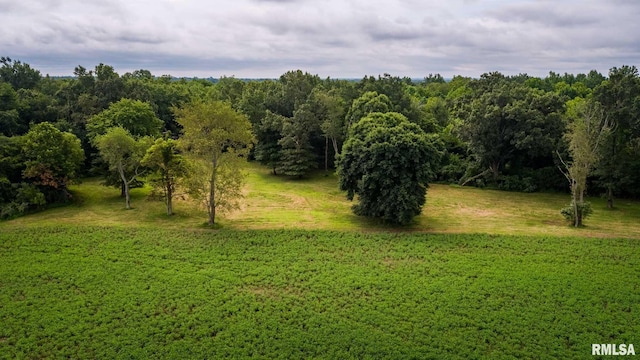 TBD Greenbriar Rd, Carterville, IL 62918 - photo 3