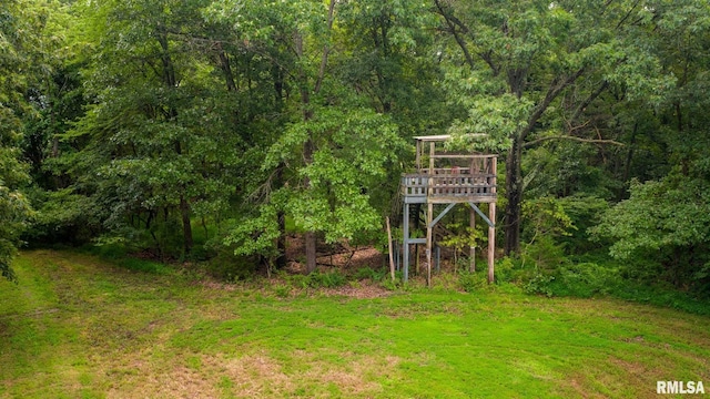 TBD Greenbriar Rd, Carterville, IL 62918 - photo 4