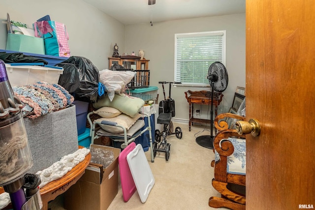 905 S Glenview Dr, Carbondale, IL 62901 - photo 21