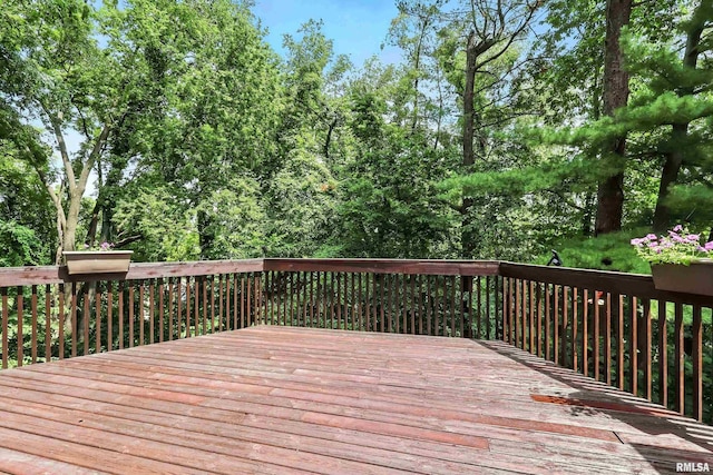 801 Foret Mansur Ln, Carbon Cliff, IL 61239 - photo 9
