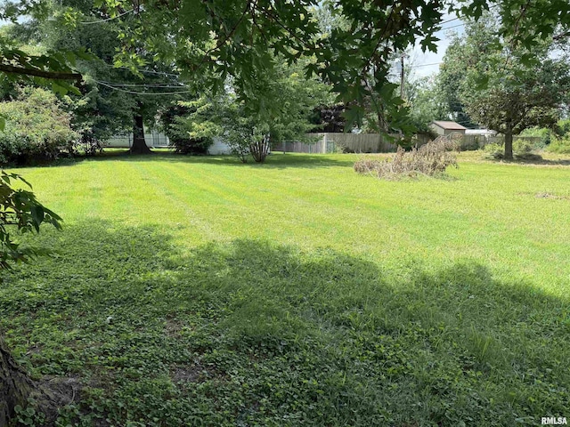 517 Frederick St, Herrin, IL 62948 - photo 18