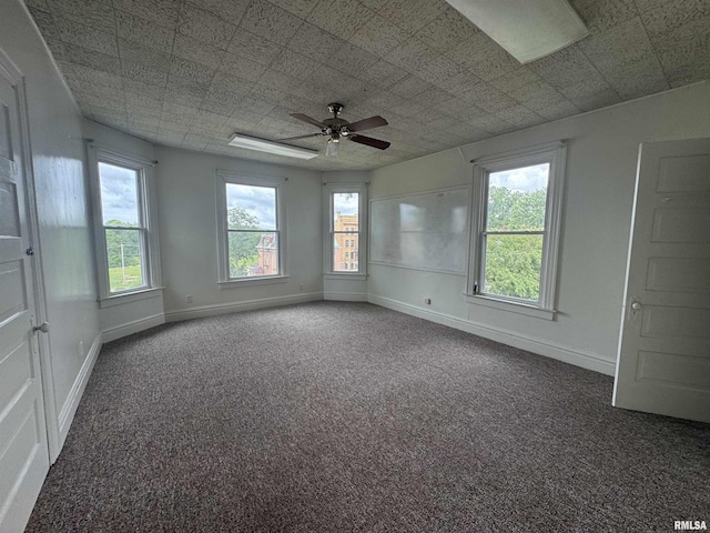 707 Brady St, Davenport, IA 52803 - photo 6