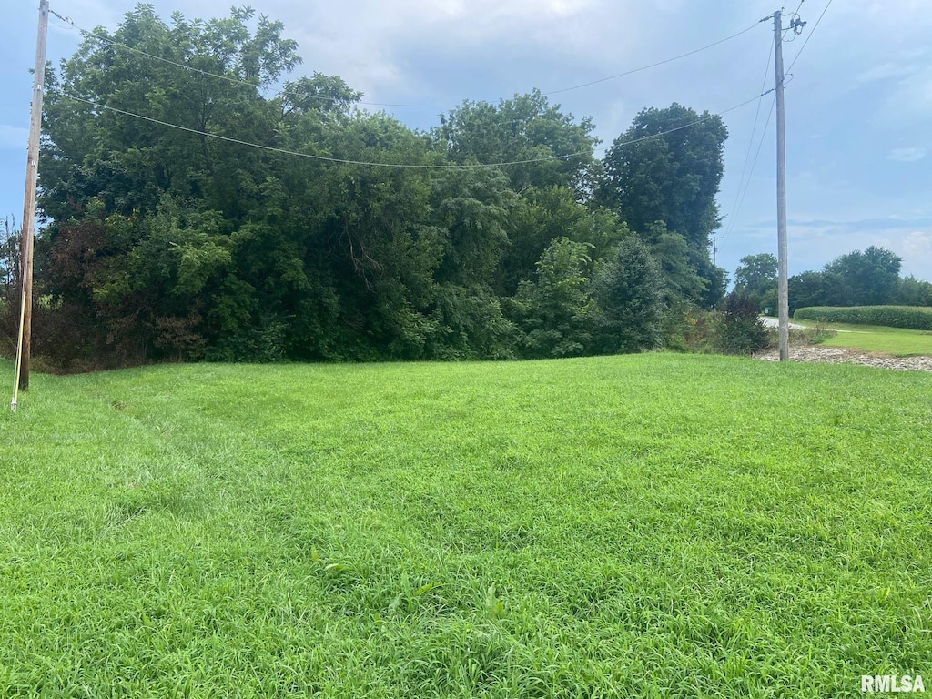 0.31ACM/L E Angle St, Plainville, IL 62365 - photo 1