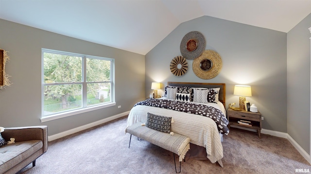 7183 Genesis Way, Bettendorf, IA 52722 - photo 19