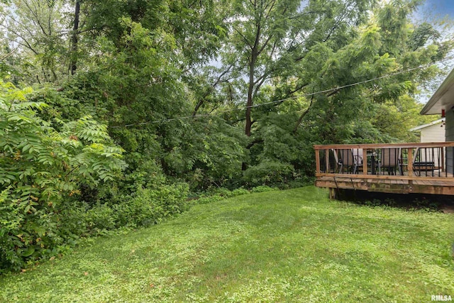 321 5th St, Silvis, IL 61282 - photo 33