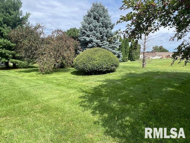 2710 W 63rd St, Davenport, IA 52806 - photo 3