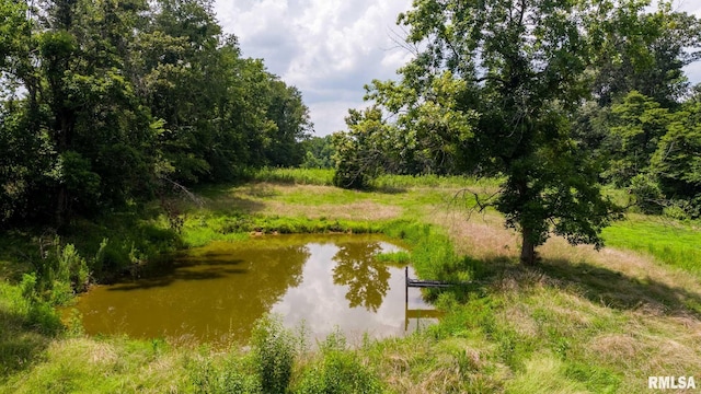 11029 Rte 166, Marion, IL 62959 - photo 13