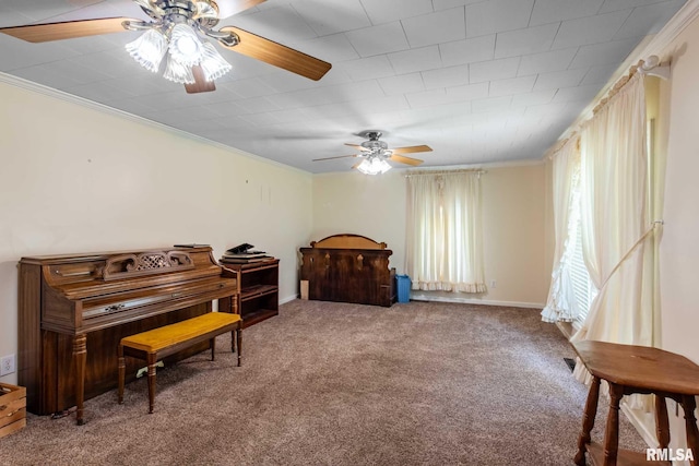 11029 Rte 166, Marion, IL 62959 - photo 14