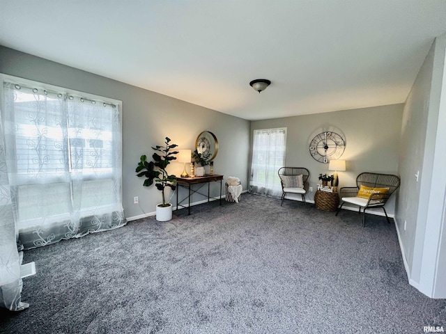 1215 13th St, Viola, IL 61486 - photo 27