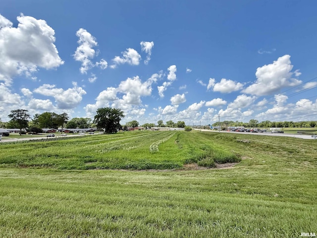 6 1st Ave E Unit Lot110, 4, 5, Milan, IL 61264 - photo 2