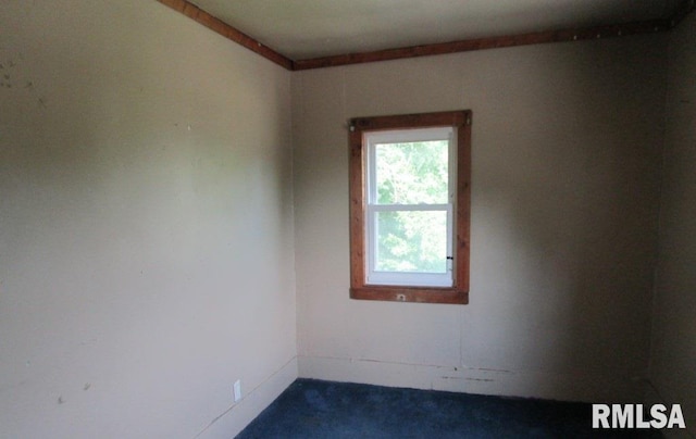 1903 Hershey Ave, Muscatine, IA 52761 - photo 9