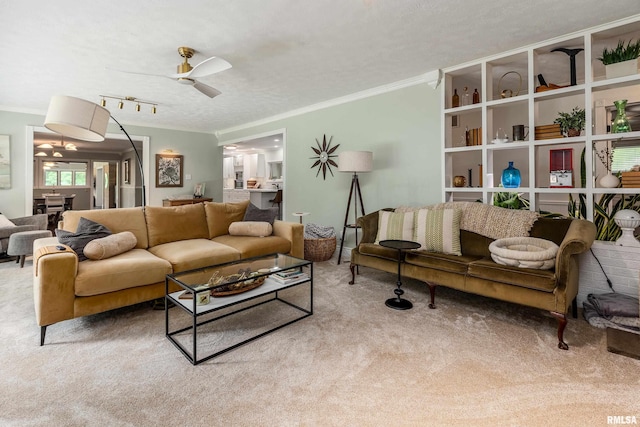 65 Hidden Trce, Carbondale, IL 62901 - photo 26