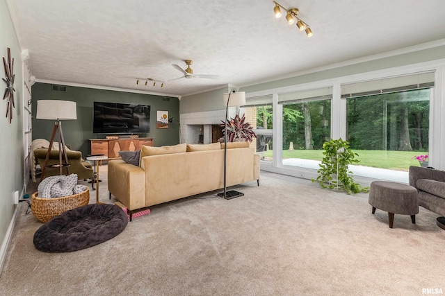 65 Hidden Trce, Carbondale, IL 62901 - photo 27
