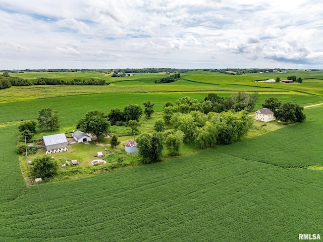 2523 132nd Ave, Wheatland, IA 52777 - photo 1