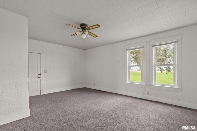2523 132nd Ave, Wheatland, IA 52777 - photo 12