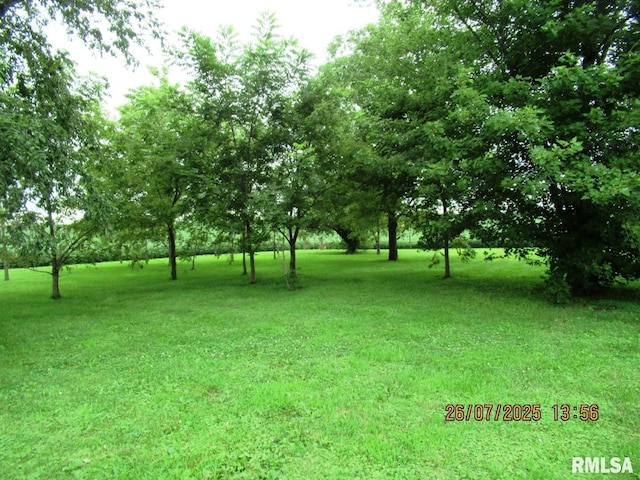 719 Quincy Ave, Clarence, IA 52216 - photo 16