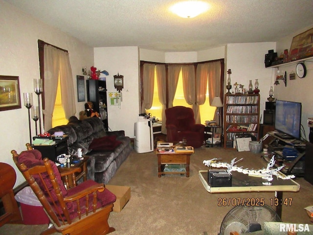 719 Quincy Ave, Clarence, IA 52216 - photo 31